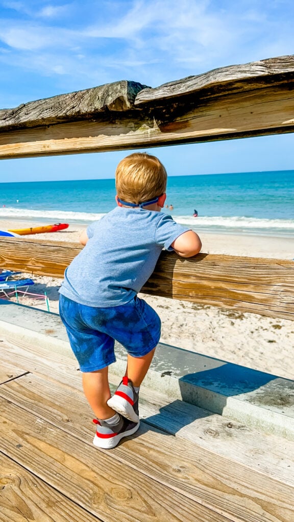 Family Things to Do in Vero Beach, Florida 