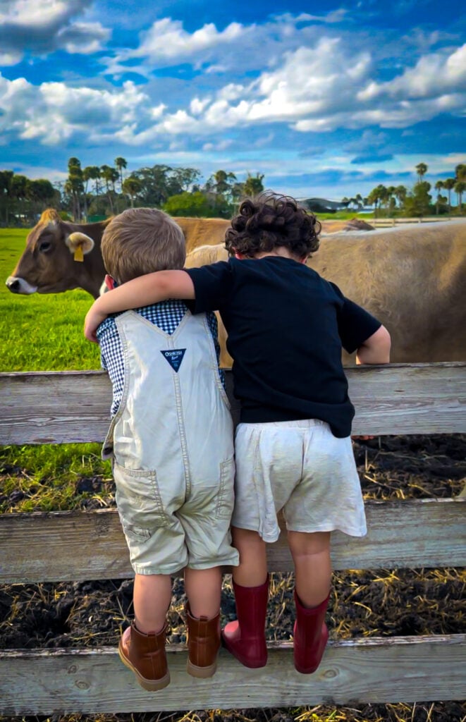 Guide to Animal Farms and Petting Zoos in Port St. Lucie