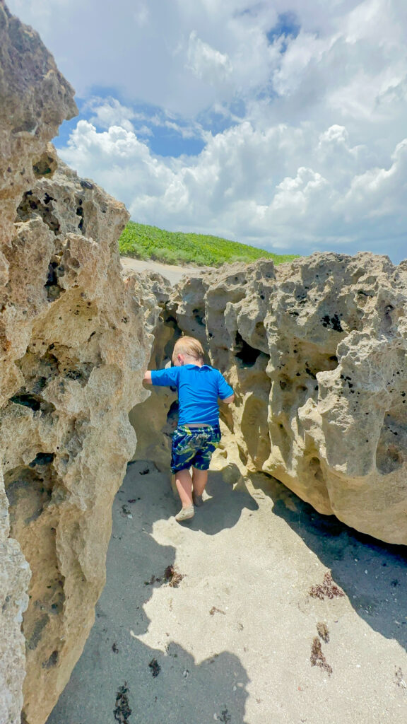 Things to do with kids in Jupiter Florida 