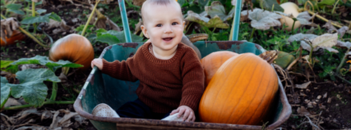 Pumpkin Patches on the Treasure Coast (2026)
