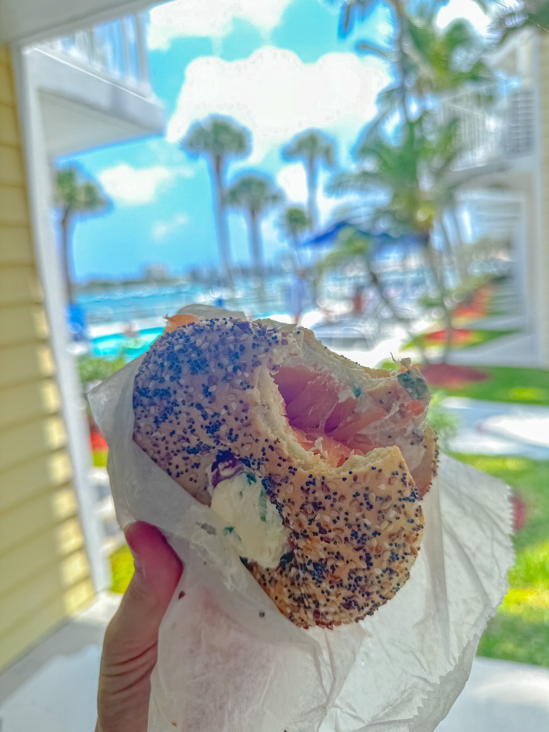 40 KidFriendly Things to do in Jupiter Treasure Coast Mom