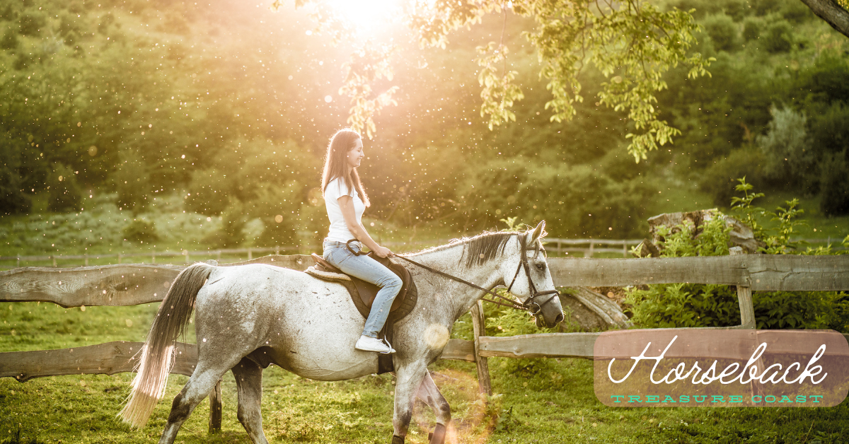 12 Places to Try Horseback Riding in Port St. Lucie