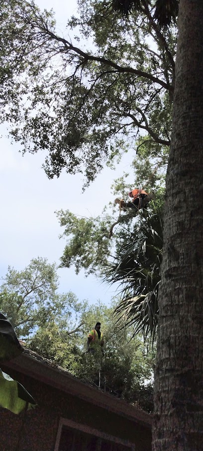 Indian River Tree Solutions