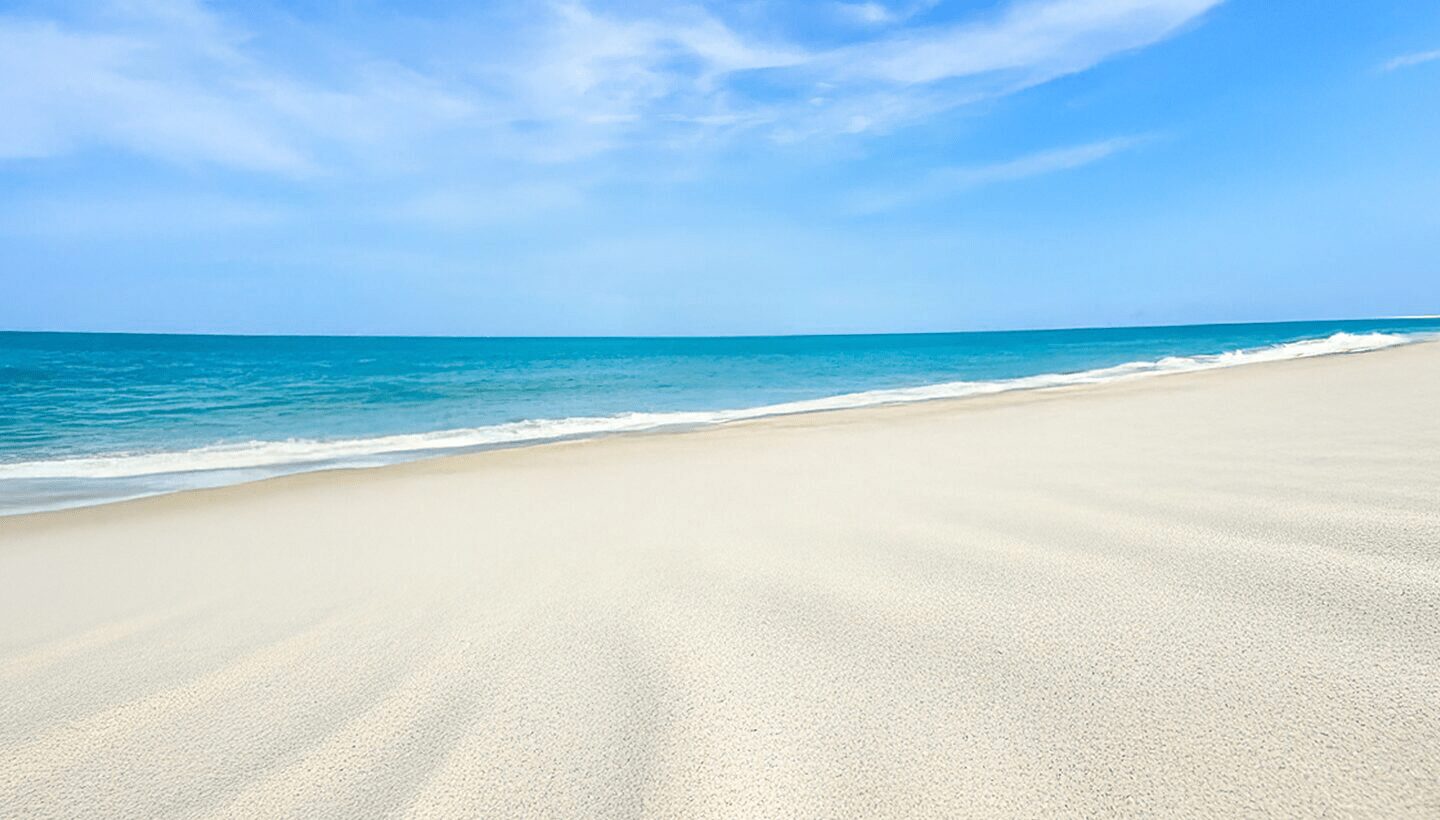 bottom-image1[1]-min