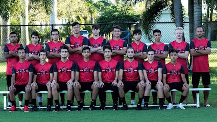 J Petrov Academy