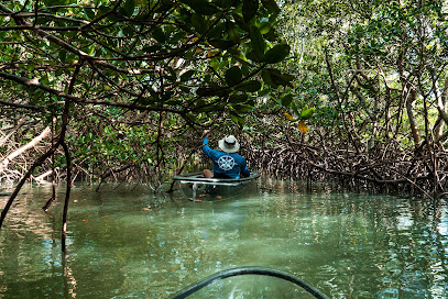 Get Up and Go Kayaking – Fort Pierce