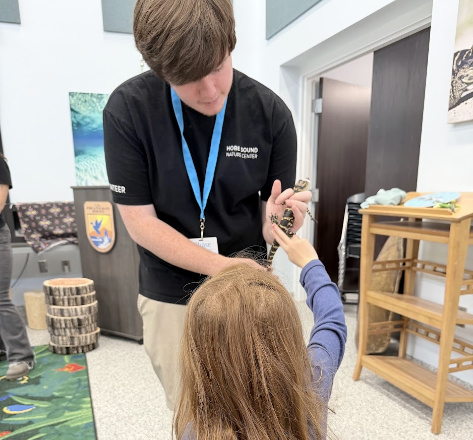 Hobe Sound nature Center Member showing lizard to student