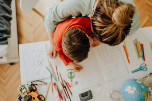 Homeschooling on the Treasure Coast: Local Co-Ops, Groups, Field Trips & Support for Families